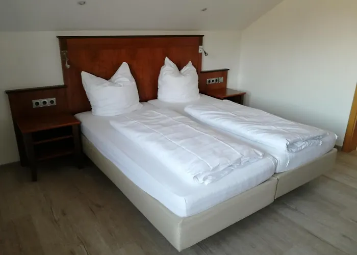 Landgut Jungfleisch מלון 3*